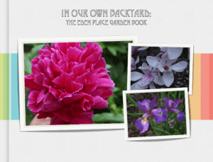 Screen Shot 2014-06-25 at 8.39.52 PM