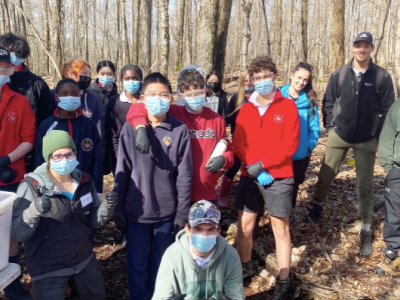 Reversing the effects of acid&nbsp;rain